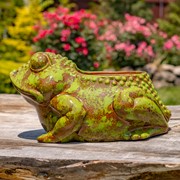 Zaer Ltd International Pre-Order: Hand Painted Ceramic Frog Planter "Rayne" ZR083925 View 3