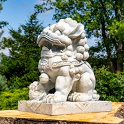Zaer Ltd. International Pre-Order: Set of 2 Magnesium Foo Dog Statues in Antique Grey "Gan & An" ZR617270-GYS View 3