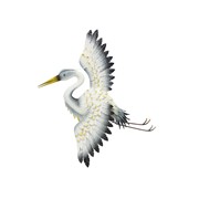 Zaer Ltd International Pre-Order: Set of 4 Asst Elegant Whooping Crane Wall Decorations "Port Aransas" ZR241200-SET View 3