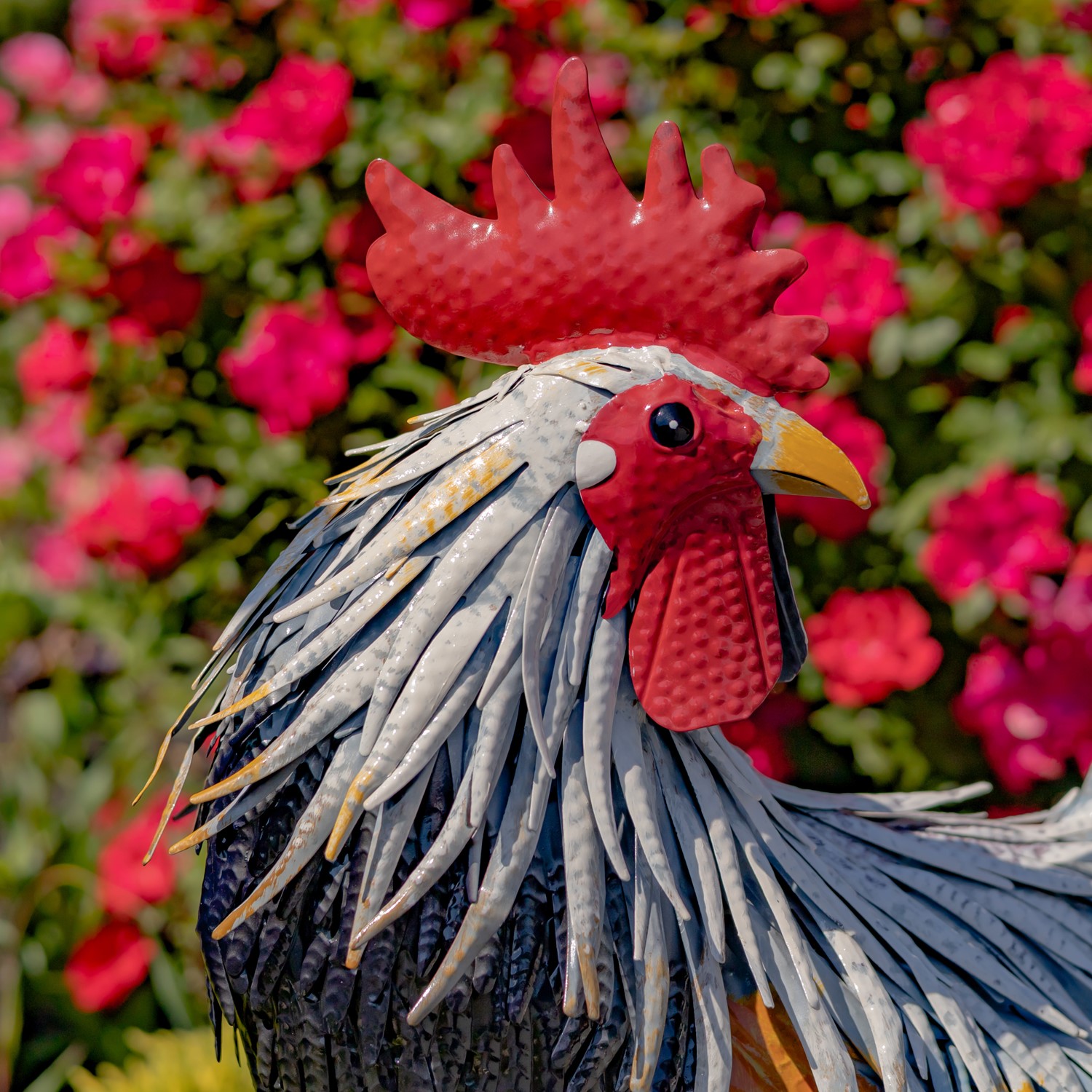 Red rooster toile fabric country peacock chickens from Brick House