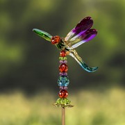 Zaer Ltd. International 54" Five Tone Acrylic Dragonfly Garden Stakes in 6 Assorted Colors ZR203516 View 4