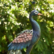 Zaer Ltd. International Pre-Order: Set of 3 Elegant Iron Peacocks with Jewel Detail ZR182200-SET View 4
