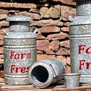 Zaer Ltd International Set of 3 Galvanized Old Style Milk Jug Planters in Red ZR180140-RD View 4