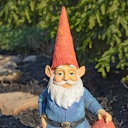 Zaer Ltd. International 16" Tall Spring Gnome Garden Statue with Mushrooms ZR244416 View 4