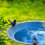Zaer Ltd International 28.75" Tall Ornate Iron Birdbath with 3 Small Birds in Cobalt Blue "Stephania" ZR220411-BL View 4