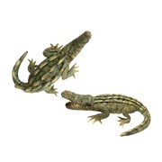 Zaer Ltd. International Set of 2 Assorted Decorative Metal Alligators "Cypress & Blackwater" ZR241003-4-SET View 4