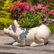 Zaer Ltd International Pre-Order: Hand Painted Ceramic Pig Planter "Kewanee" ZR083913 View 4
