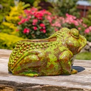 Zaer Ltd International Pre-Order: Hand Painted Ceramic Frog Planter "Rayne" ZR083925 View 4