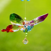 Zaer Ltd International Five Tone Hanging Acrylic Butterfly Ornament with Flowers in 6 Assorted Colors ZR506416 View 5