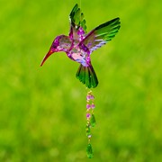 Zaer Ltd. International Hanging Acrylic 3-Piece Hummingbird Chain in 6 Assorted Colors ZR504014-SET View 5