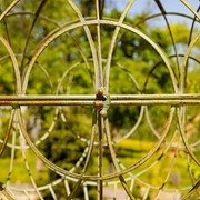 Zaer Ltd International Set of 2 Iron Globe Plant Stands in Frosted Green "Paris 1968" ZR151119-GR View 5