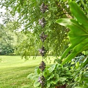 Zaer Ltd International 79" Long Antique Bronze Hanging Honeybee Rain Chain ZR191812-BZ View 5