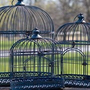 Zaer Ltd International Pre-Order: Set of 2 Iron Bird Cage Decorations in Antique Blue ZR190546-BL View 5