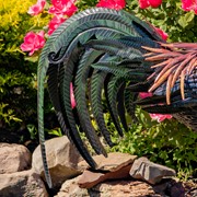 Zaer Ltd. International 29" Tall Painted Iron Rooster Decoration "Felix" ZR220903 View 5
