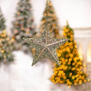 Zaer Ltd International Set of 5 Assorted Hanging Three-Dimensional Decorative Metal Stars "Steorra" ZR233029-SET View 5