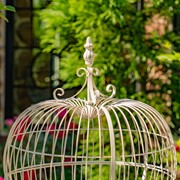 Zaer Ltd. International Set of 2 Metal Heart-Shaped Cage Plant Stands in Antique White "Ariyanna" ZR220415-AW View 5