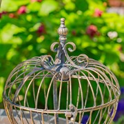 Zaer Ltd. International Set of 2 Metal Heart-Shaped Cage Plant Stands in Frosted Gold "Ariyanna" ZR220415-FG View 5