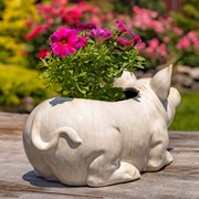 Zaer Ltd International Pre-Order: Hand Painted Ceramic Pig Planter "Kewanee" ZR083913 View 5