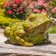 Zaer Ltd International Pre-Order: Hand Painted Ceramic Frog Planter "Rayne" ZR083925 View 5