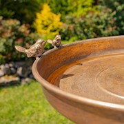 Zaer Ltd International 31.3" Tall Dark Gold Birdbath-Feeder with Tri-Stand ZR240489-DG View 5