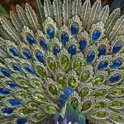 Zaer Ltd. International Pre-Order: Set of 3 Elegant Iron Peacocks with Jewel Detail ZR182200-SET View 6