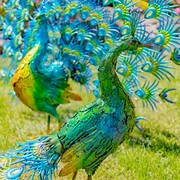 Zaer Ltd. International Pre-Order: Set of 2 Large Peacocks with Crystal Detail "Gem and Jewel" ZR170694-SET View 6