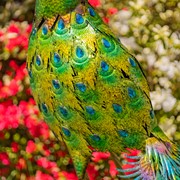 Zaer Ltd. International Pre-Order: Set of 2 Large Colorful Peacocks with Jewels "Royal and Sapphire" ZR140242-SET View 6
