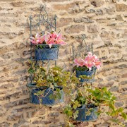 Zaer Ltd International Set of Dual Wall Hanging Planters with Removable Baskets in Cobalt "London 1820" ZR161262-BL View 6