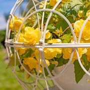 Zaer Ltd. International Set of 2 Assorted Iron Globe Plant Stands in Antique White "Paris 1968" ZR151119-AW View 6