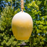 Zaer Ltd. International 19" Long Egg-Shaped Porcelain Birdhouse with Dragonflies "Merryweather" ZR240008 View 6