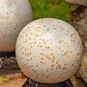 Zaer Ltd International Pre-Order: Set of 3 Assorted Ceramic Globe Tabletop Accents "Aspen" ZR083909-SET View 6