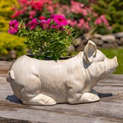 Zaer Ltd International Pre-Order: Hand Painted Ceramic Pig Planter "Kewanee" ZR083913 View 6