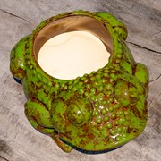 Zaer Ltd International Pre-Order: Hand Painted Ceramic Frog Planter "Rayne" ZR083925 View 6