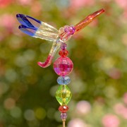 Zaer Ltd International 22" Tall Five Tone Acrylic Dragonfly Pot Stakes in 6 Assorted Color Variations ZR203216-SET View 7