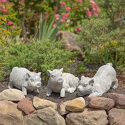 Zaer Ltd International Small Magnesium Piglet Statue "Truffles" ZR139510 View 7