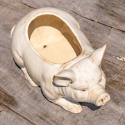 Zaer Ltd International Pre-Order: Hand Painted Ceramic Pig Planter "Kewanee" ZR083913 View 7