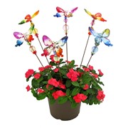 Zaer Ltd. International 22" Tall Five Tone Acrylic Butterfly Pot Stake in 6 Assorted Colors ZR203316 View 8