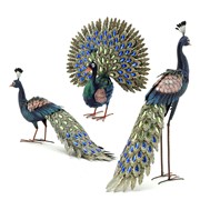 Zaer Ltd. International Pre-Order: Set of 3 Elegant Iron Peacocks with Jewel Detail ZR182200-SET View 8